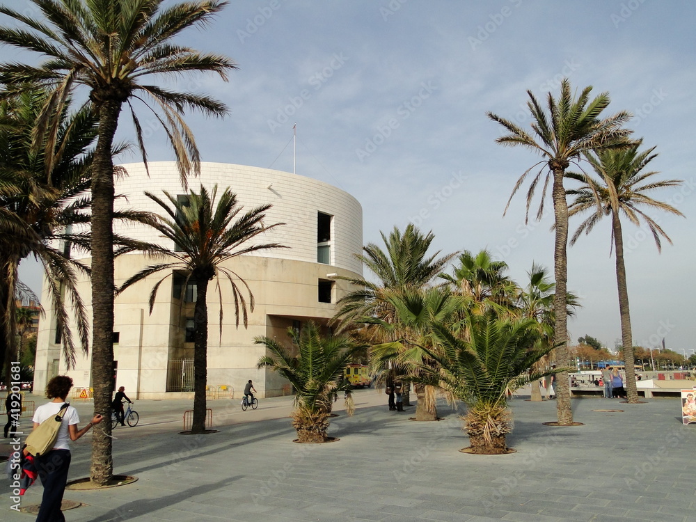 Palmeras en un paseo marítimo de la costa mediterránea española con edificios modernos al fondo