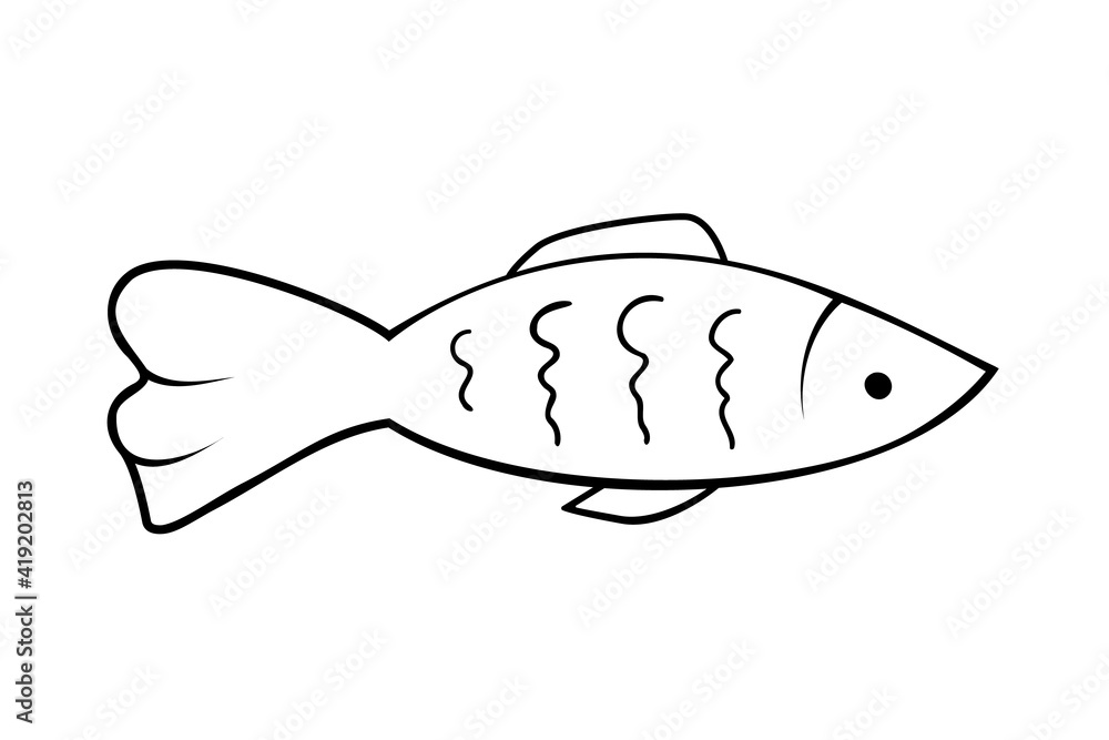 Aquarium fish. Black and white. Doodle isolated outline objects on white background. Aquarium fish. Black and white. Doodle isolated outline objects on white background.