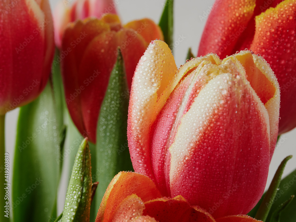 Naklejka premium Bouquet of tulips on a wooden rustic table. Spring holidays concept background.