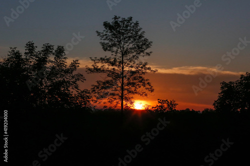 Sunset on the Woods at a Campsite in Wisconsin photo