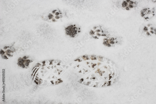 Different footprints in the snow, winter outside, imprint 