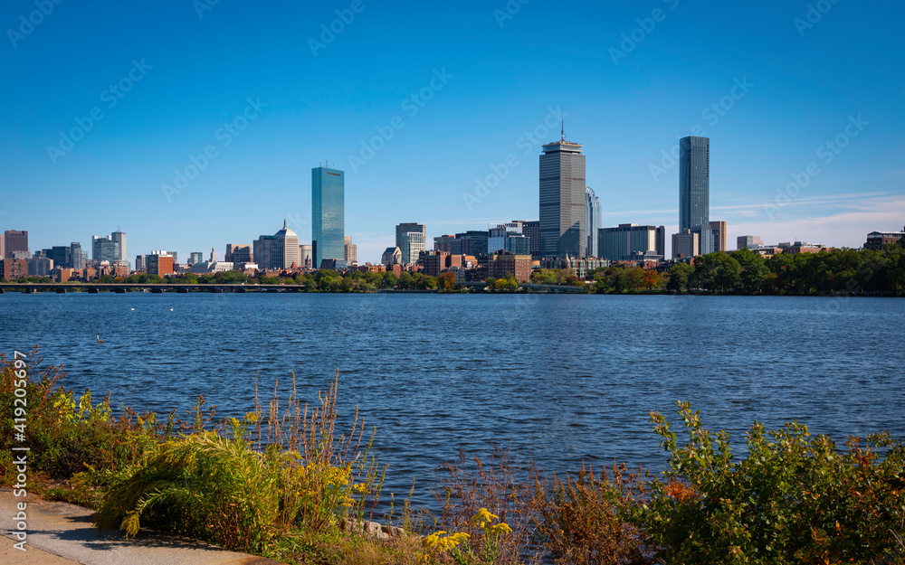 Boston Cityscape and Wild Plants over the Charles River