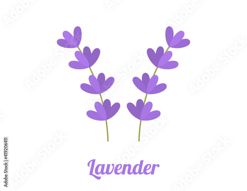 Lavender flowers. Purple flat design lavender flowers symbols isolated on white background.