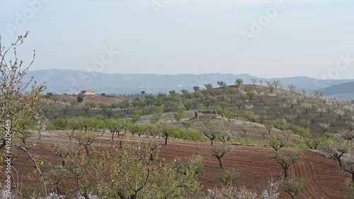 Paisaje con almendros en flor en la comarca de Los Velez en Almería, España
