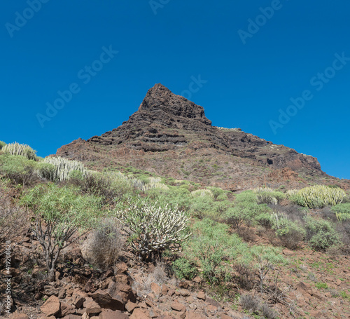 View of rocky mountain peak at Barranco de Guigui Grande. Arid subtropical landscape of ravine with cacti and succulent plants. West of Gran Canaria, Canary Islands, Spain photo