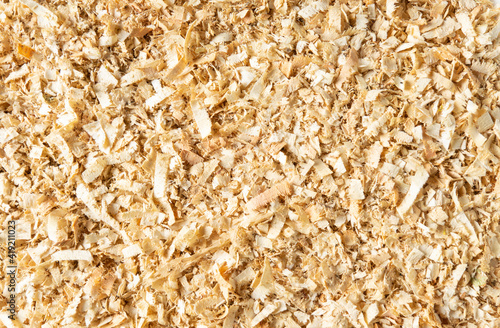 Wood shavings or sawdust after cutting wooden logs. Texture background close up top view