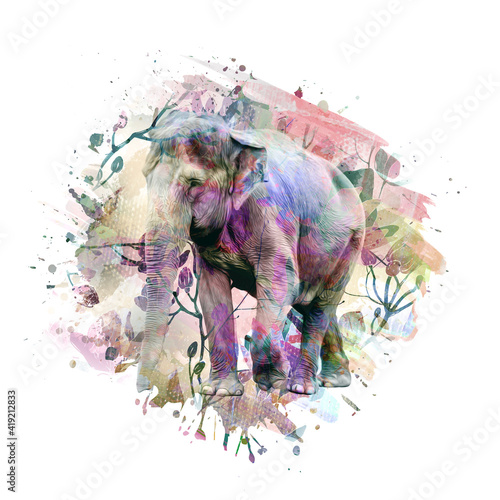 Canvas Print elephant in africa color art