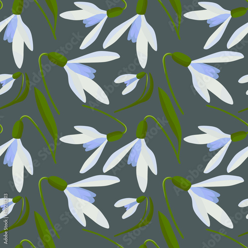 Delicate snowdrops in spring seamless vector pattern. Vector pattern snowdrops.Snowdrops on a gray background.