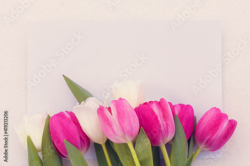 Fototapeta Naklejka Na Ścianę i Meble -  delicate pink and white tulips on a light background