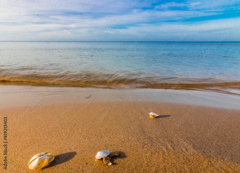 Plaża i muszla