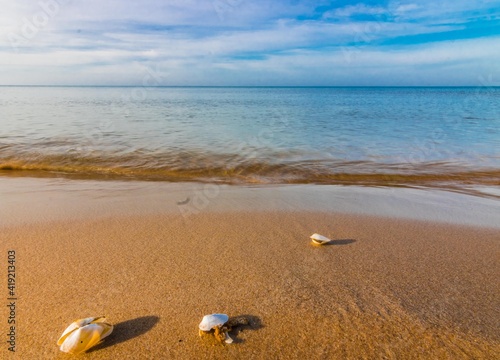 Obraz na płótnie Plaża i muszla w salonie
