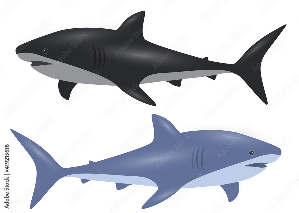 Black and blue shark in the set. Vector image.