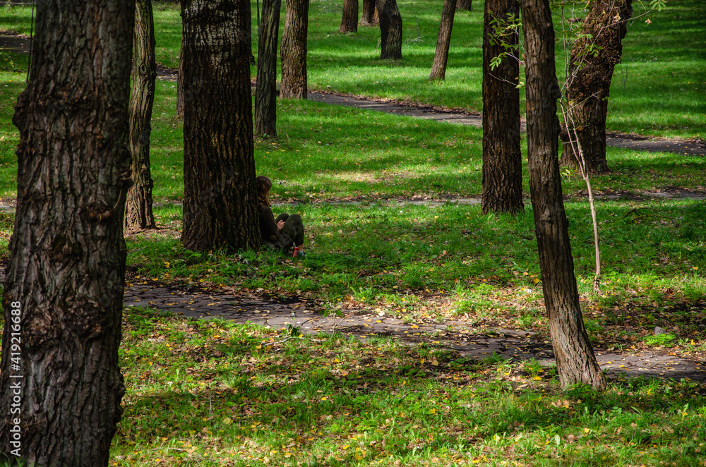 Nature background green trees in park Nature background green trees in park