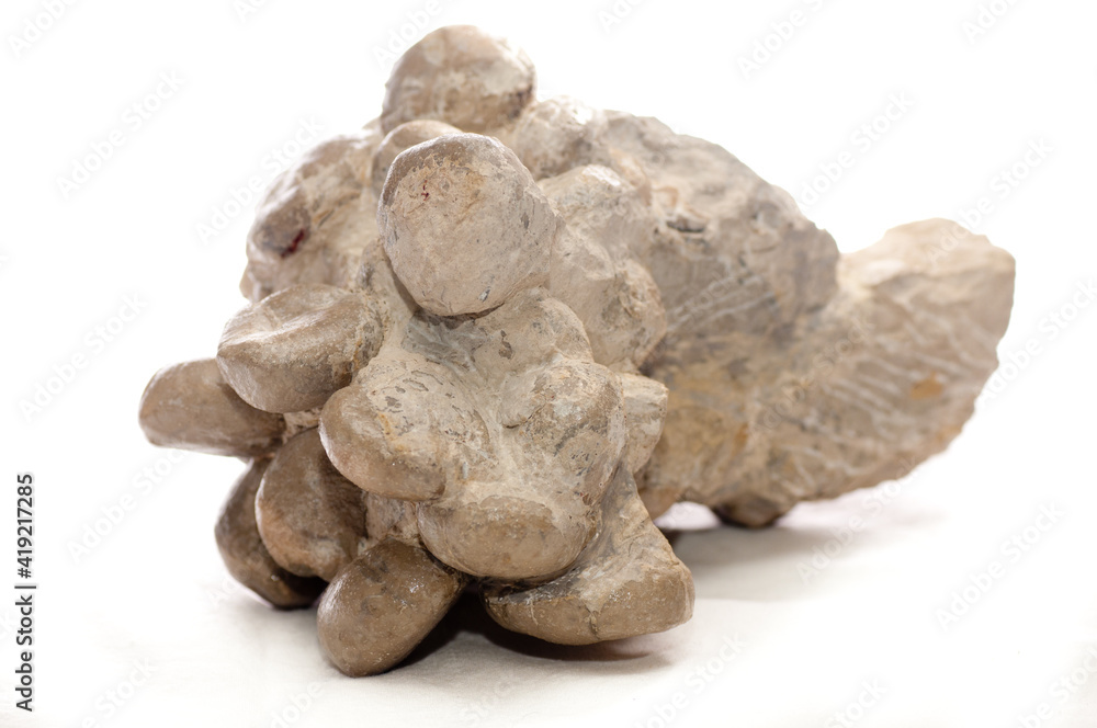 macraster mineral sample macraster mineral sample