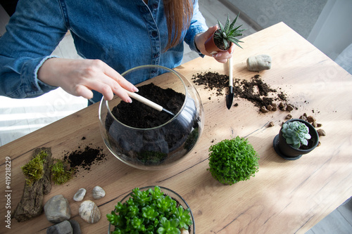 The woman is transplanting succulent in a glass vase on the table. Florarium with green succulents.Close-up of a succulent arrangement in a glass vase (terrarium).The girl is creating a composition. photo