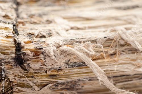 asbestos, serpentine fibers photo