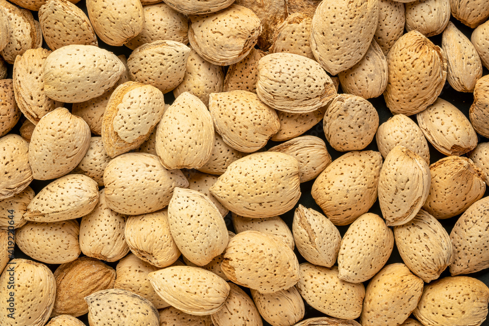 almond nuts in shells - closeup background, superfood concept almond nuts in shells - closeup background, superfood concept