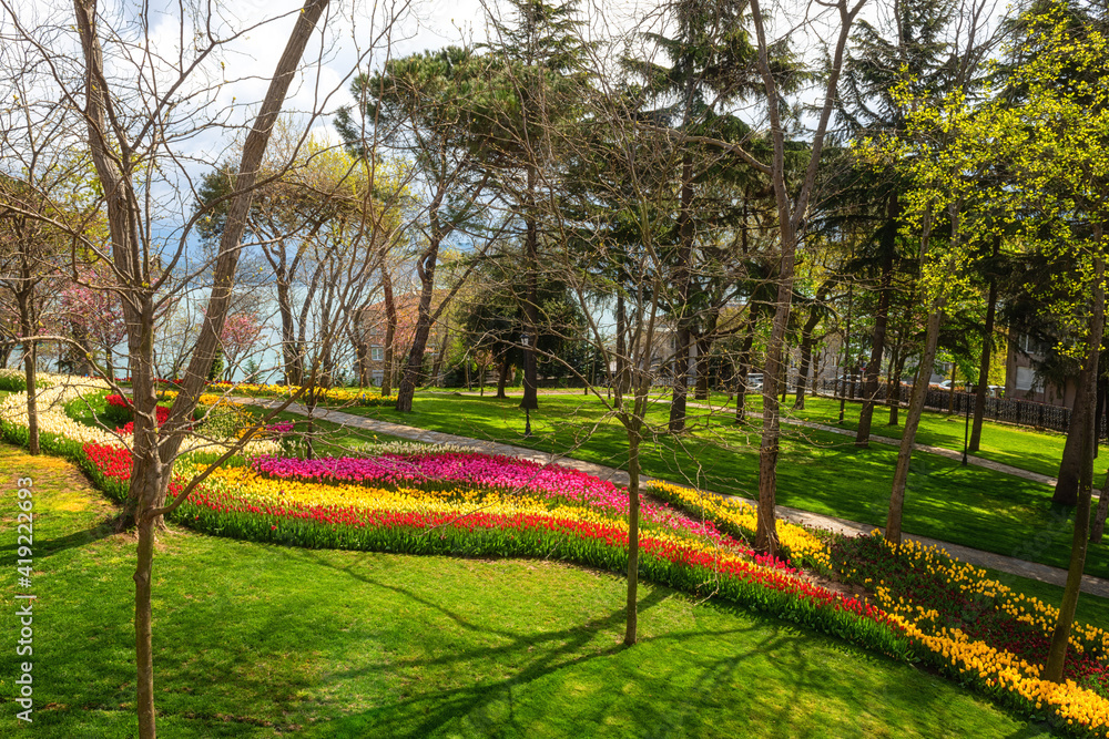 Obraz premium Beautiful spring garden, famous turkish park Emirgan Korusu in Istanbul during tulip festival, Turkey. Outdoor travel background, nature landscape