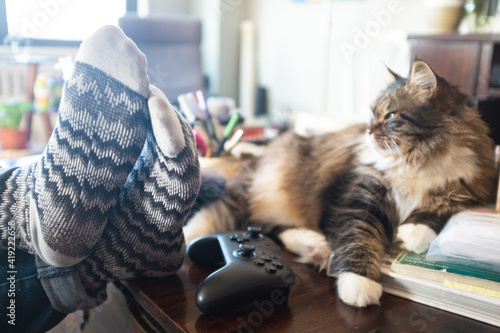 View of a reclining woman's feet in socks, up on a cluttered coffee table with a Siberian cat