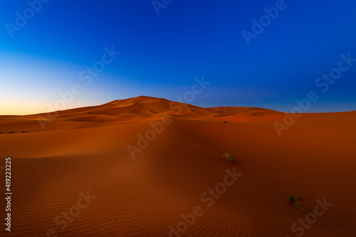 Scenic view of the beautiful Erg Chebbi dunes at dawn  in Morocco  North Africa
