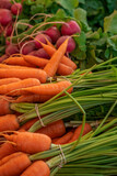 Fresh carrots and radishes