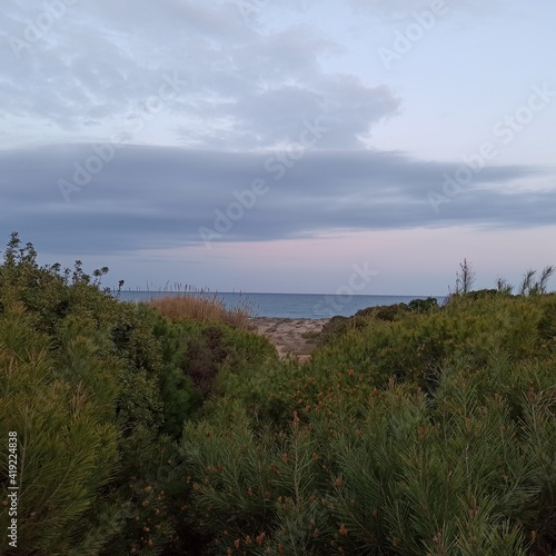 sunset over the river