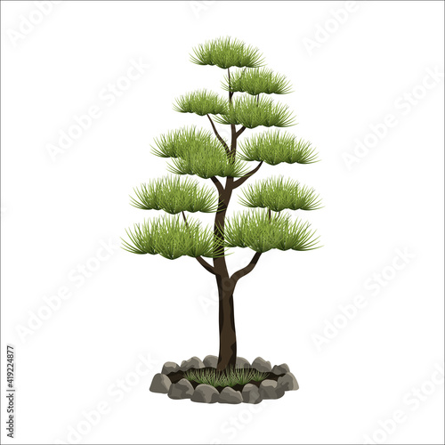 Vector illustration of a decorative niwaki bonsai tree on a white background. Garden bonsai niwaki with green pine thorns on a pine. Decorative trimming and pruning of trees and shrubs