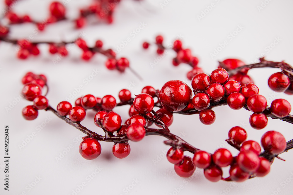 sprig of red berries on spring white background decor decoration sprig of red berries on spring white background decor decoration