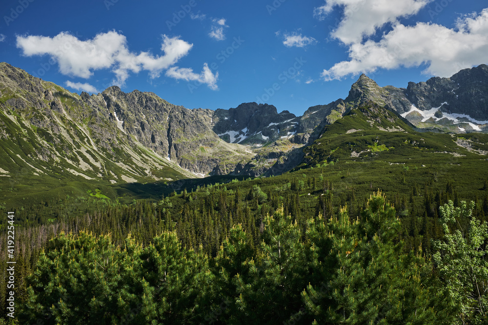 Scenic panoramic view of mountains landscape with a forest