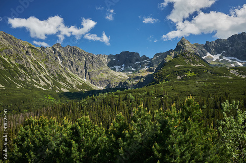 Scenic panoramic view of mountains landscape with a forest