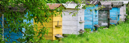 yellow blue black and white beehives in village garden