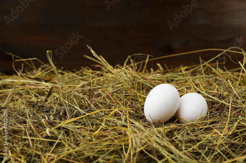 fresh eggs are on the hay with copy space