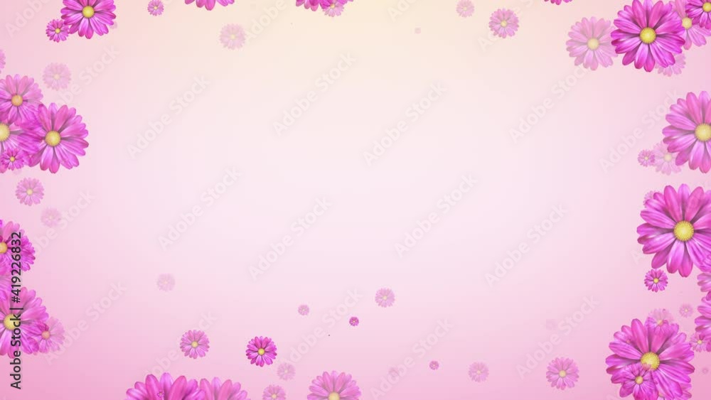 flowers appearing, botanical background, decorative frame, blank space for text, intro, isolated on pink background flowers appearing, botanical background, decorative frame, blank space for text, intro, isolated on pink background