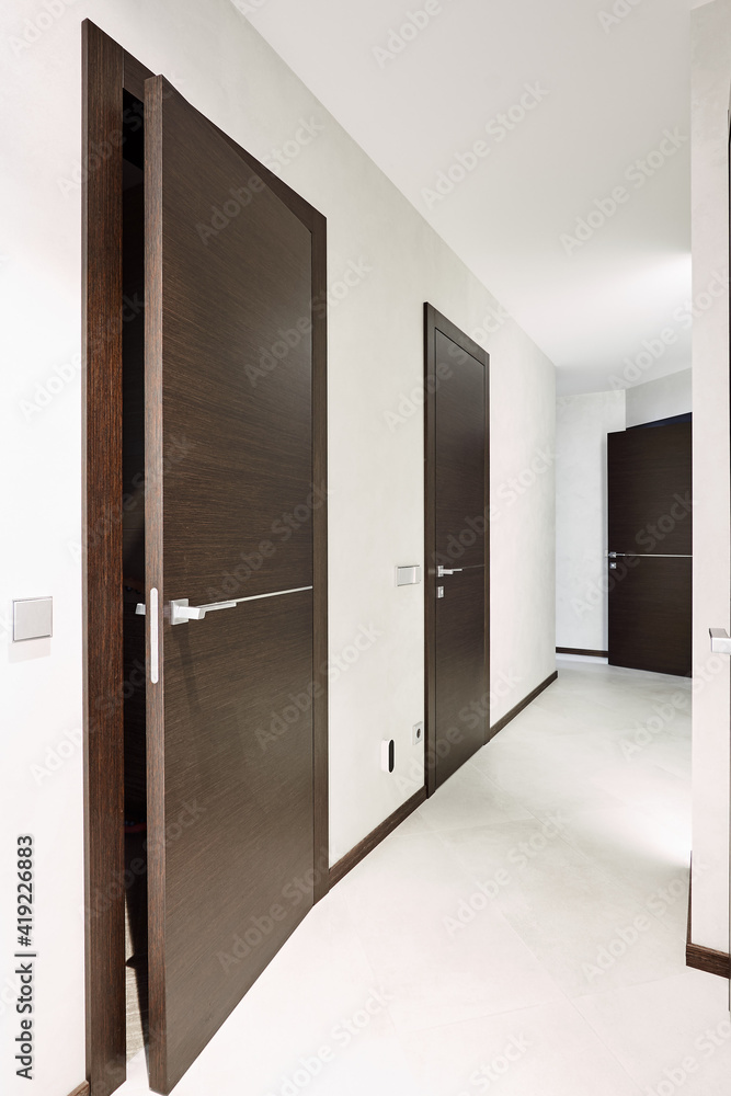 Corridor in the hallway with doors finished with dark veneer