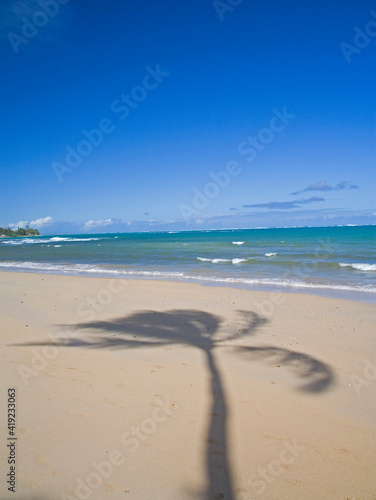 USA, Hawaii, Oahu, North Shore at sunset and palm tree