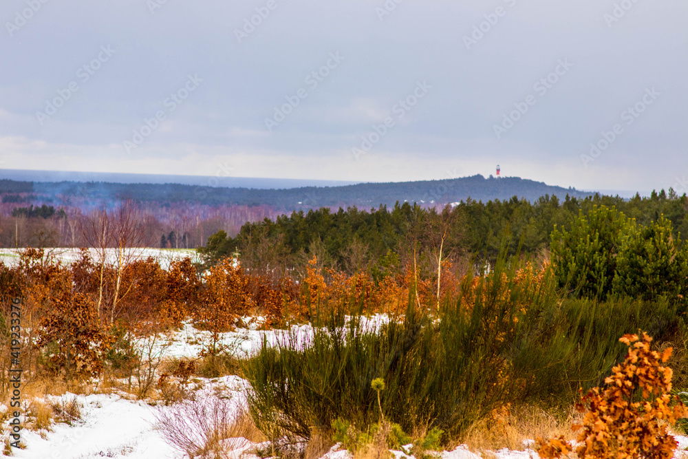 Fototapeta premium Zima pejzaż leśny