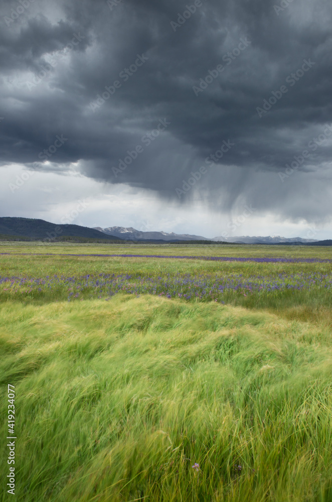 Fototapeta premium USA, Idaho. Approaching storm, Sawtooth Mountains.