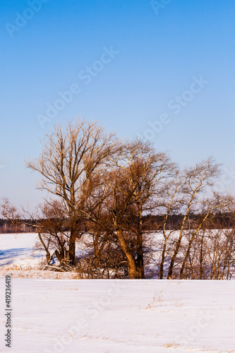 Winter landscape on a sunny frosty day. © Allgoo