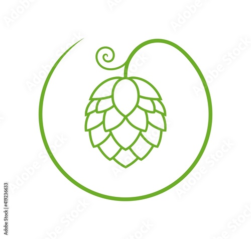 Hop logo. Isolated hop on white background. Branch