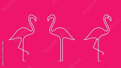 Flamingo outline. Isolated flamingo on white background