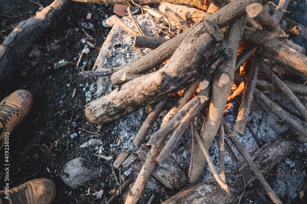 Fireplace in nature with wood and embers ready for grilling