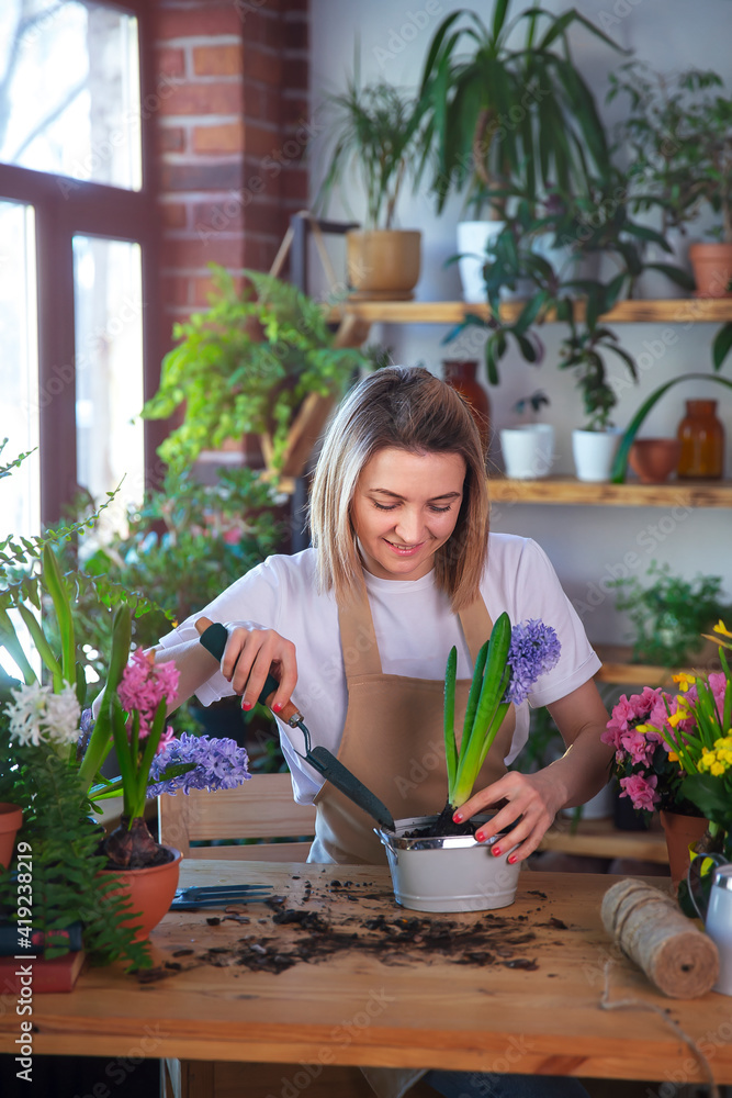 Woman gardener taking care for plants and home flowers, wearing apron. Woman gardener taking care for plants and home flowers, wearing apron.