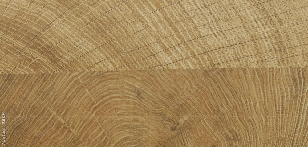 Fototapeta premium Wood texture background. Rough Wooden Surface with natural pattern