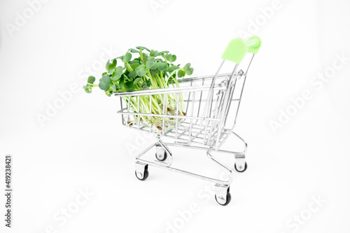 Fresh eco farming greens delivery concept, young microgreens in a shopping cart on white background