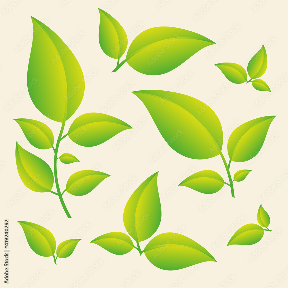 Green leaves set isolated on yellow background. Design elements for organic bio logo, natural and eco products, cosmetic, pharmacy, medicine, science. Vector leaves icon collection EPS10