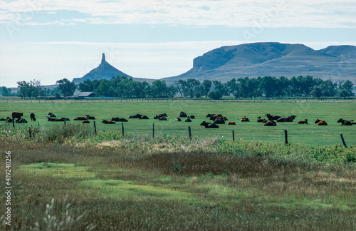 Chimney Rock with cows in pasture in Nebraska