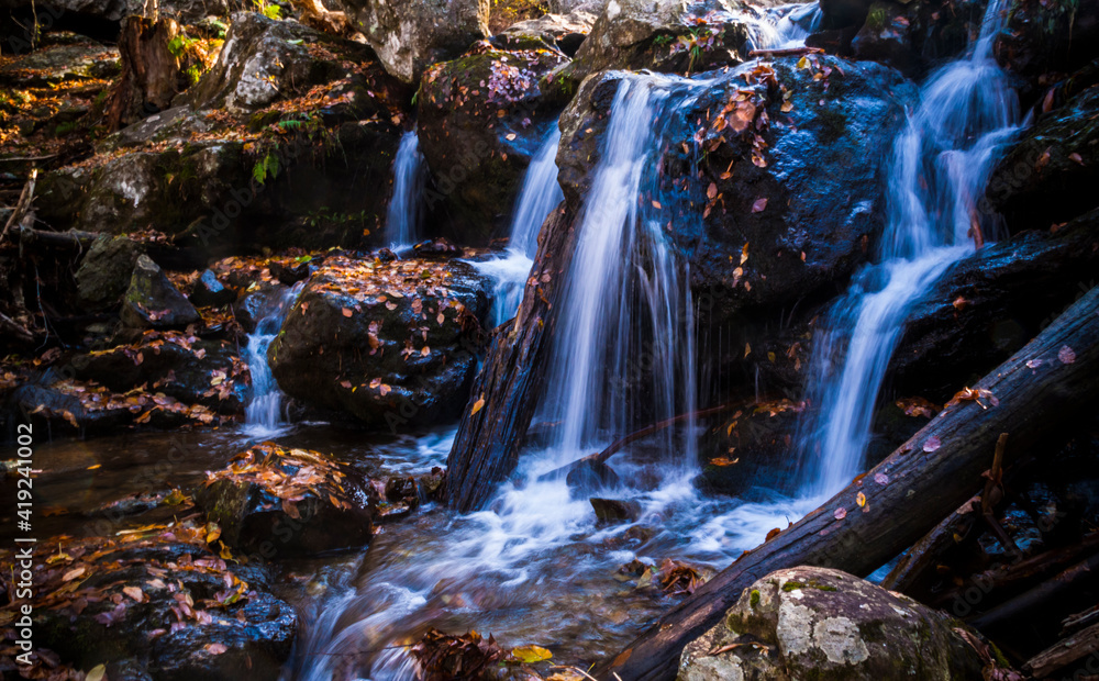 Fototapeta premium peaceful streams in Dark Hallow Falls trails in Shenandoah national park in Virginia during autumn.