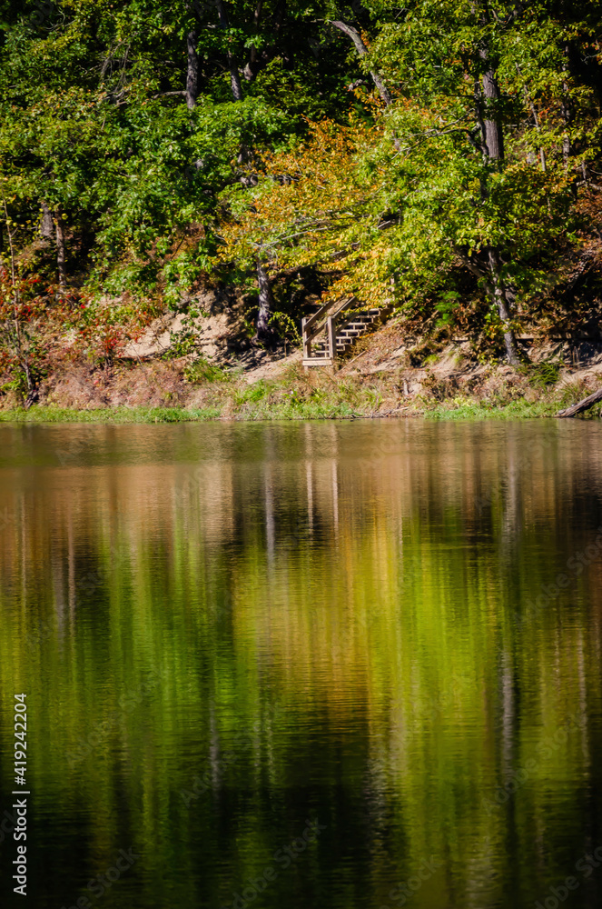 Forest reflecting in lake water Forest reflecting in lake water
