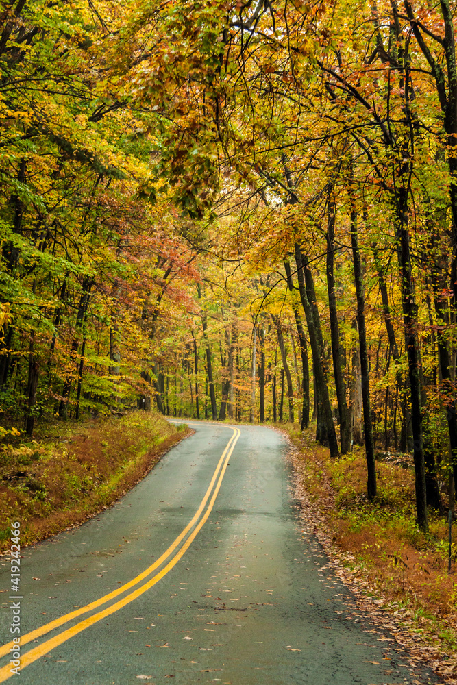 road trip on open road and highway traversing vibrant autumn woods