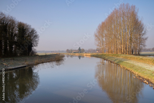 Trees along a river